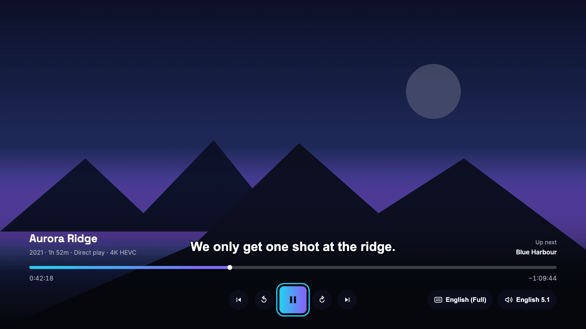 Drive playing on a TV: a playbar with subtitle and audio track buttons, and a caption on screen